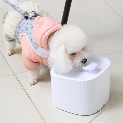 PawsomeCriters™ FreshFlow Pet Fountain